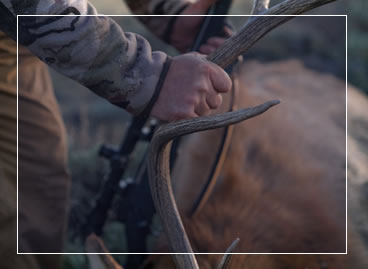 About Premier Elk Outfitters