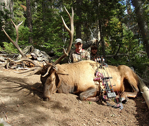 Trophy Mountain Archery Elk Hunts